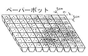5センチ角のペーパーポットを並べ、そこに種を撒いているイラスト