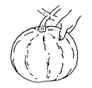 かぼちゃに親指で爪を立てているイラスト