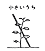ナスの苗を支柱で支えているイラスト