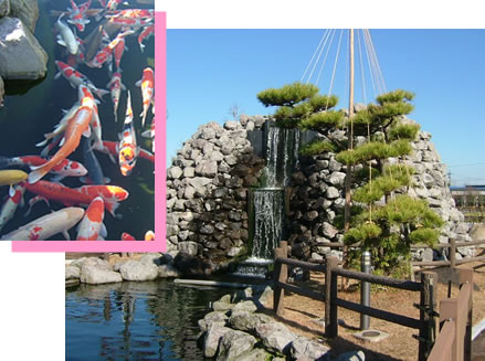 石の砦から滝が流れて池を形成している写真の右上に赤色や白色の鯉が池で泳いでいる写真が並んでいる写真