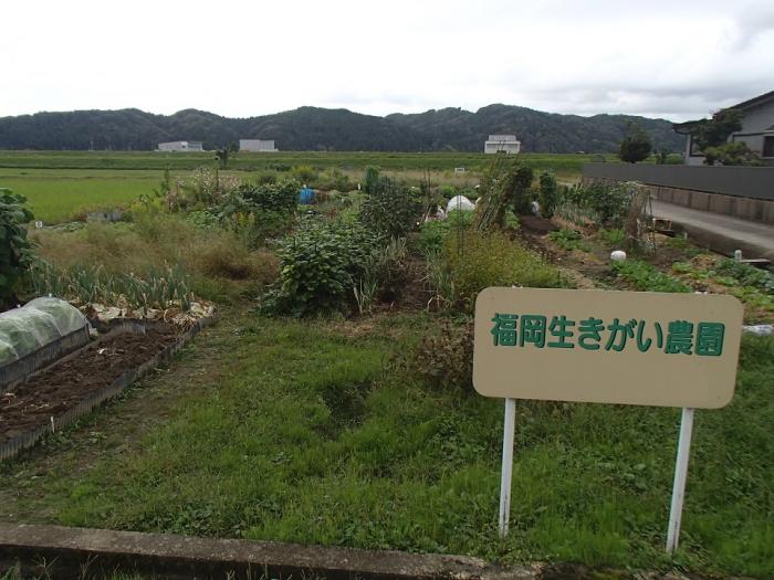 農園の写真2