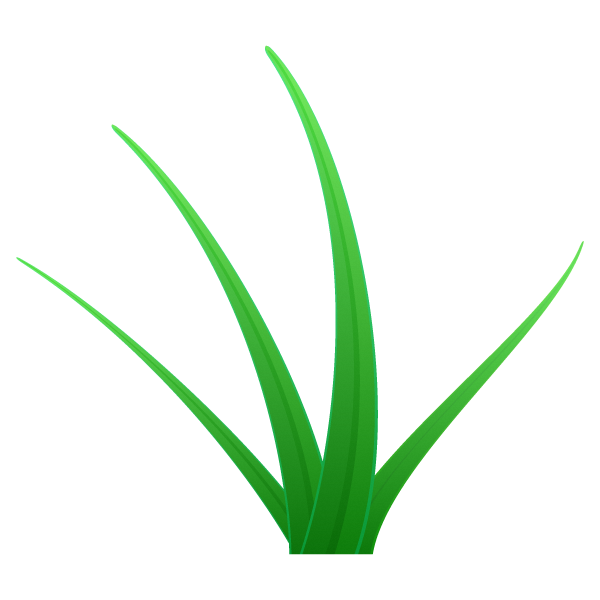 4枚の葉が生えた雑草のイメージイラスト