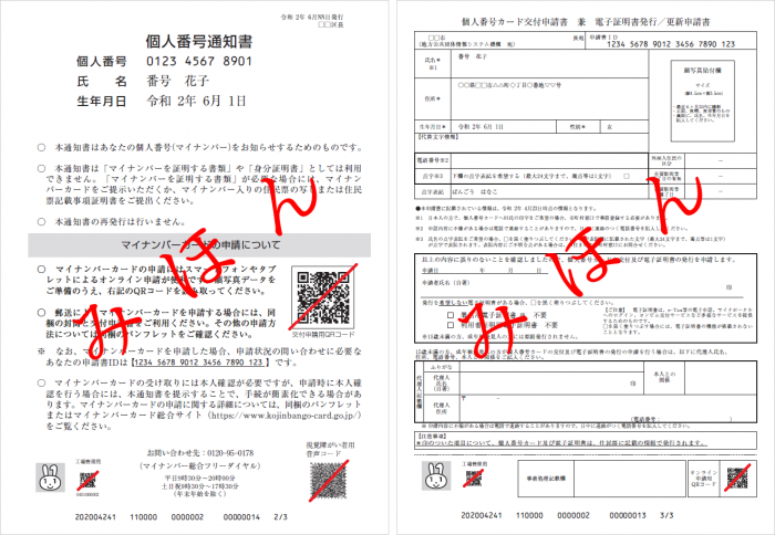 赤字でみほんと書かれたマイナンバーカード「個人番号通知書」の表と裏の写真