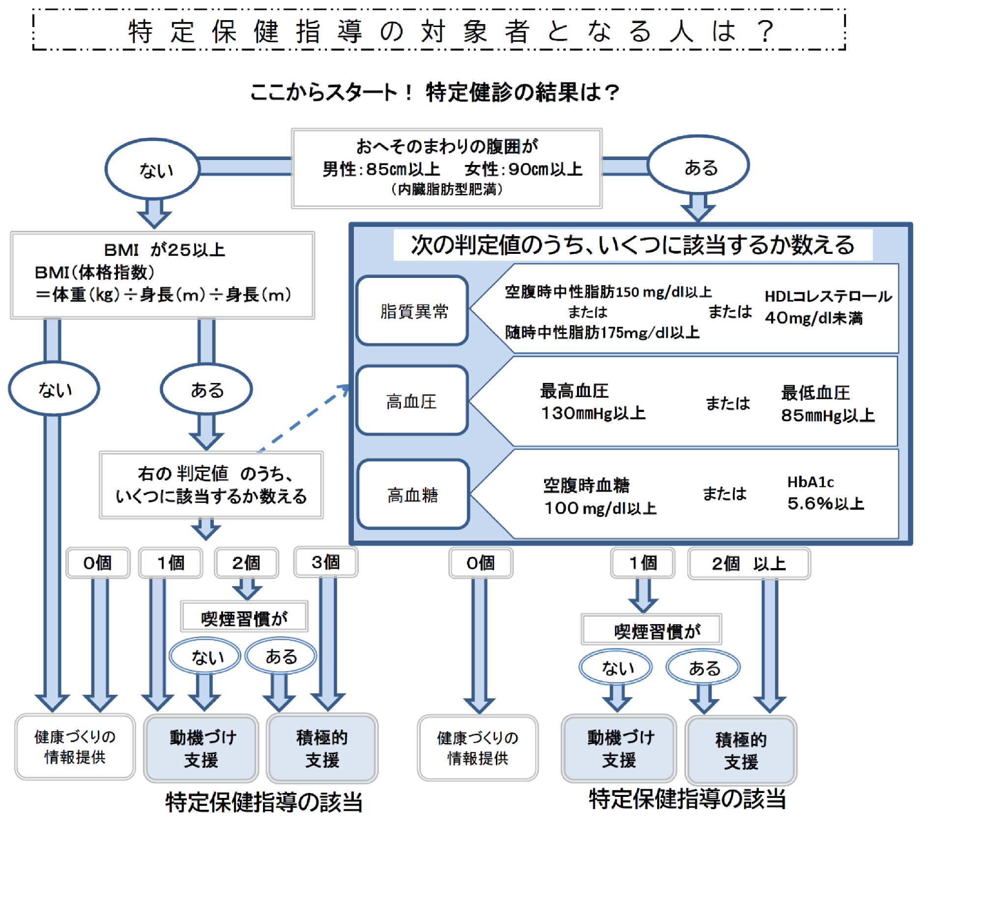 特定保健指導の流れ