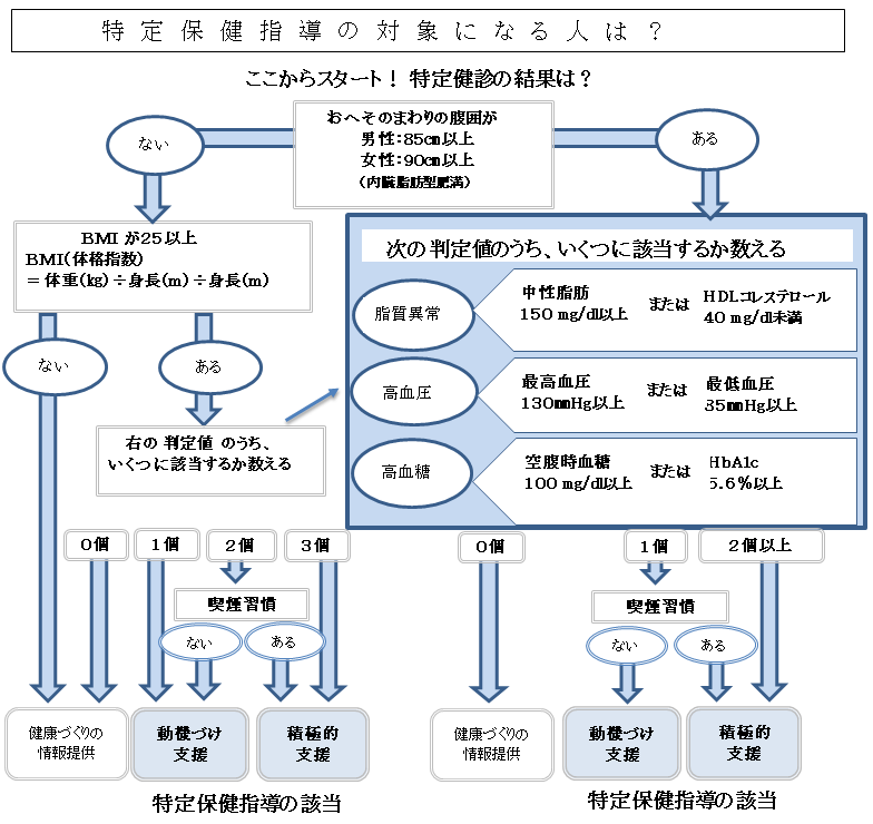 特定保健指導の基準 詳細は以下