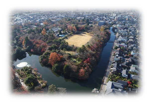 住宅街に囲まれるようにお堀が設置され、紅葉した木々が公園を囲むように配置されている高岡古城公園全景の写真