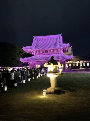 黄金色にライトアップされた石灯籠が前景にあり、後景に薄紫色に光る本堂が見える写真
