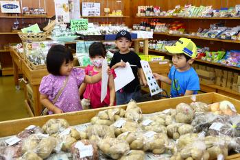 スーパーのじゃがいもの並べられた台の前で、買い物表を手に持った園児たちが思案している写真