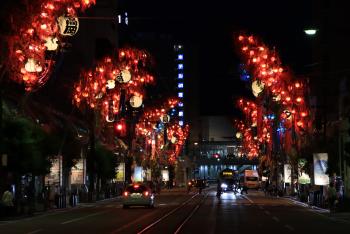 赤くライトアップされた夜の街路樹の写真