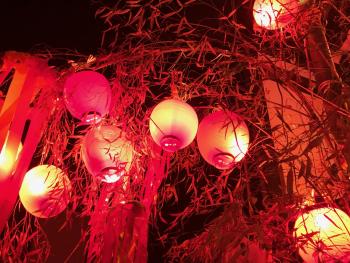 夜空を背景にして、六つの赤い提灯が、木の枝に飾り付けられている写真