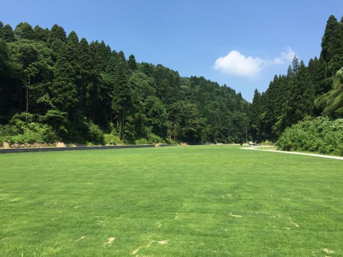 両サイドを木に囲まれた芝生の広場の写真