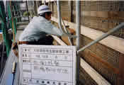 妻面における竹小舞の敷設作業風景の写真