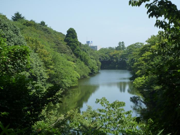 緑に覆われた、高岡城跡の濠塁の風景写真
