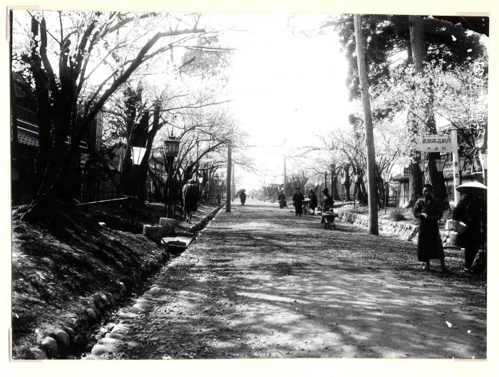 高岡商品陳列所の看板がある様子の収められた桜馬場の古写真