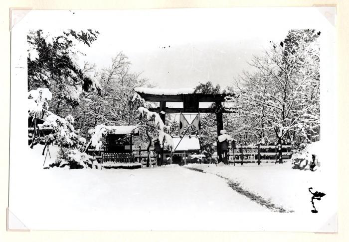 射水神社の写真。鳥居などに雪が積もっている。