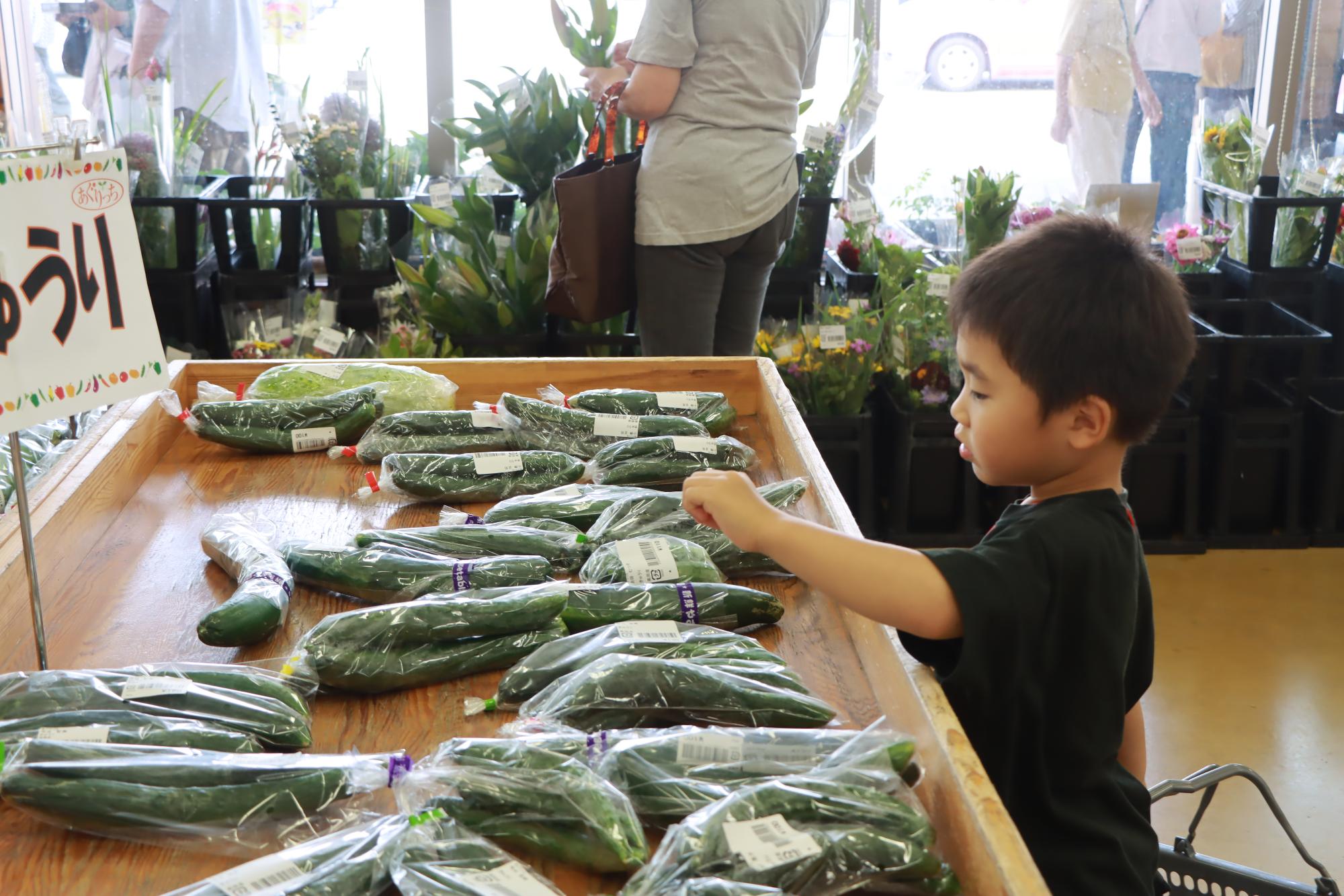 はじめてのおつかいで園児が野菜を選んでいる写真