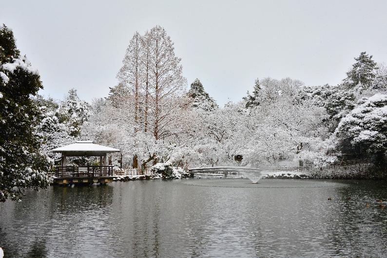 高岡古城公園の冬景色