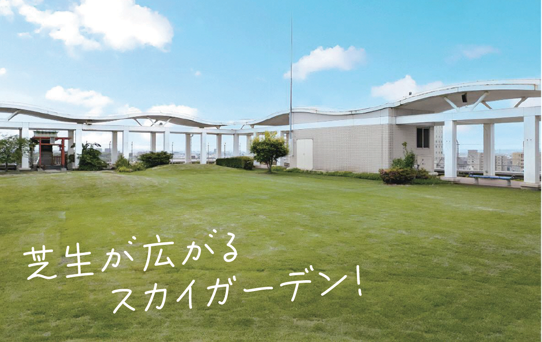 芝生が広がるスカイガーデン