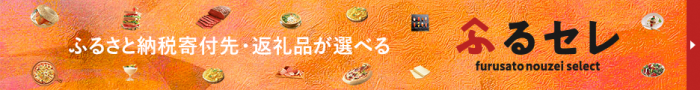ふるさと納税寄付先・返礼品が選べる ふるセレ