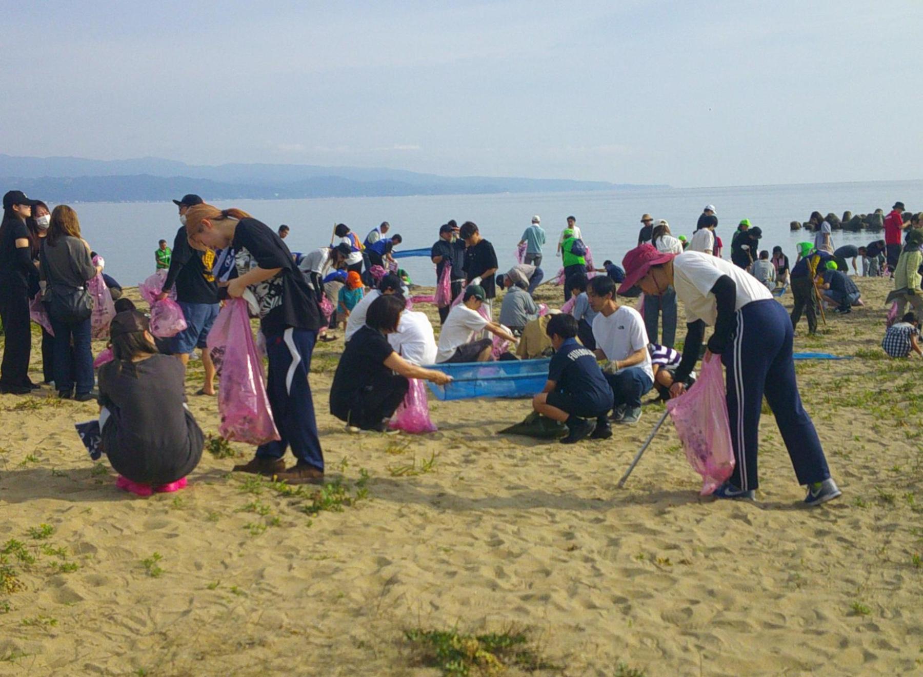 海岸特別清掃の実施風景の写真。参加者が各々ゴミ袋を片手に砂浜のゴミを回収している様子が確認できる