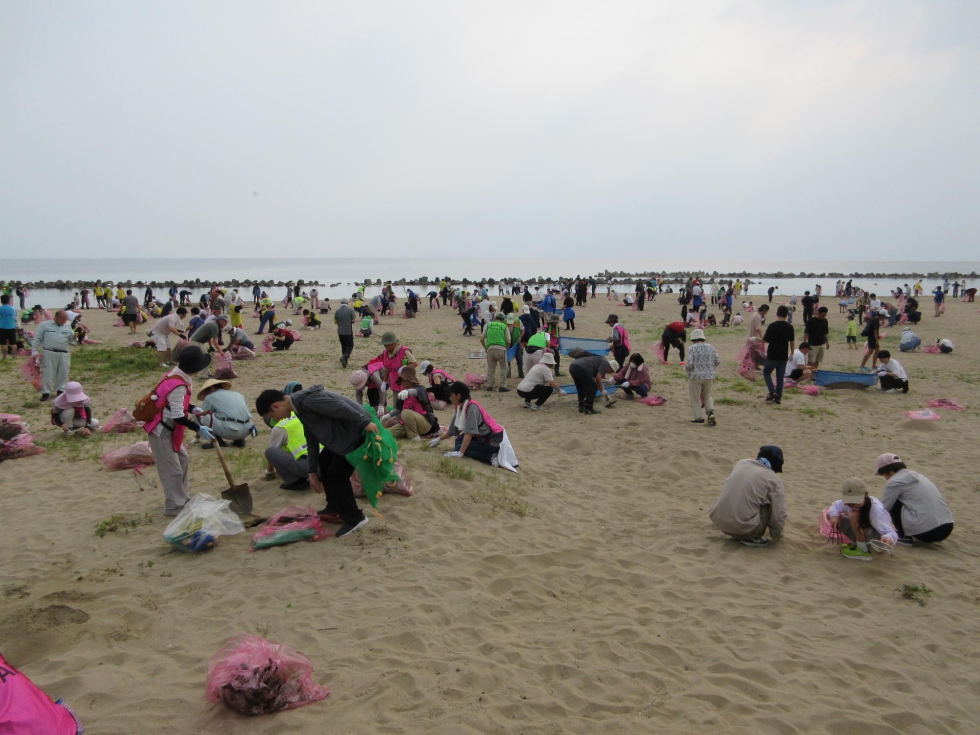 海岸特別清掃の実施風景の写真。参加者が各々ゴミ袋を片手に砂浜のゴミを回収している様子が確認できる