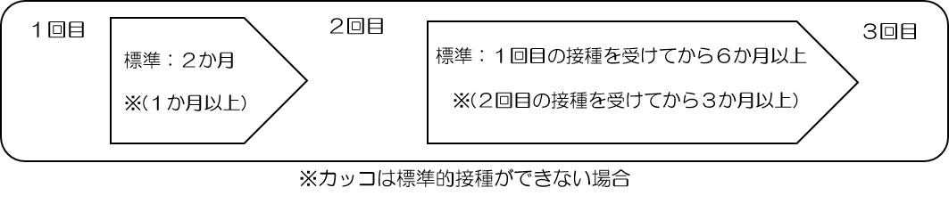 3回で接種完了。1回目と2回目は2か月以上で、2か月以上あけれない場合は1か月でも可。3回目は1回目の接種を受けてから6か月以上で接種。2回目の接種を受けてから3か月でも可。