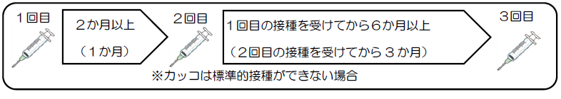 3回で接種完了。1回目と2回目は2か月以上で、2か月以上あけれない場合は1か月でも可。3回目は1回目の接種を受けてから6か月以上で接種。2回目の接種を受けてから3か月でも可。