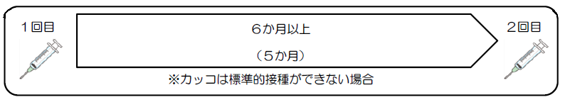 2回接種で接種完了。1回目と2回目の接種間隔は6か月以上あける。6か月以上あけれない場合は、5か月でも可。