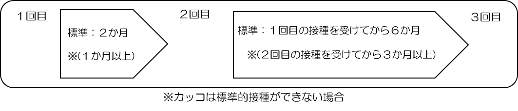3回で接種完了。1回目と2回目は2か月以上で、2か月以上あけれない場合は1か月でも可。3回目は1回目の接種を受けてから6か月以上で接種。2回目の接種を受けてから3か月でも可。