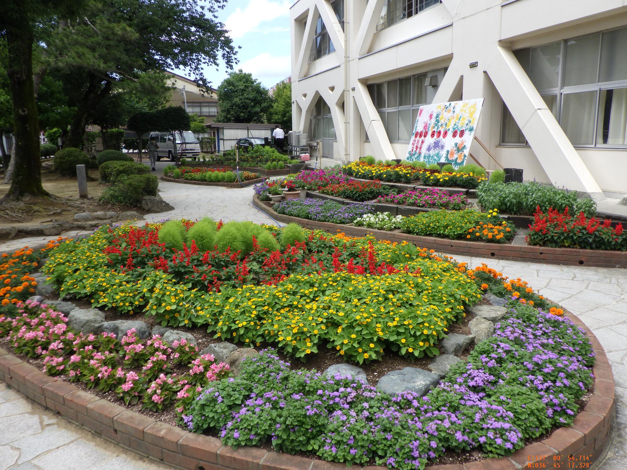 円形や扇形の花壇に色とりどりの花が咲いている高岡市立成美小学校花壇の写真