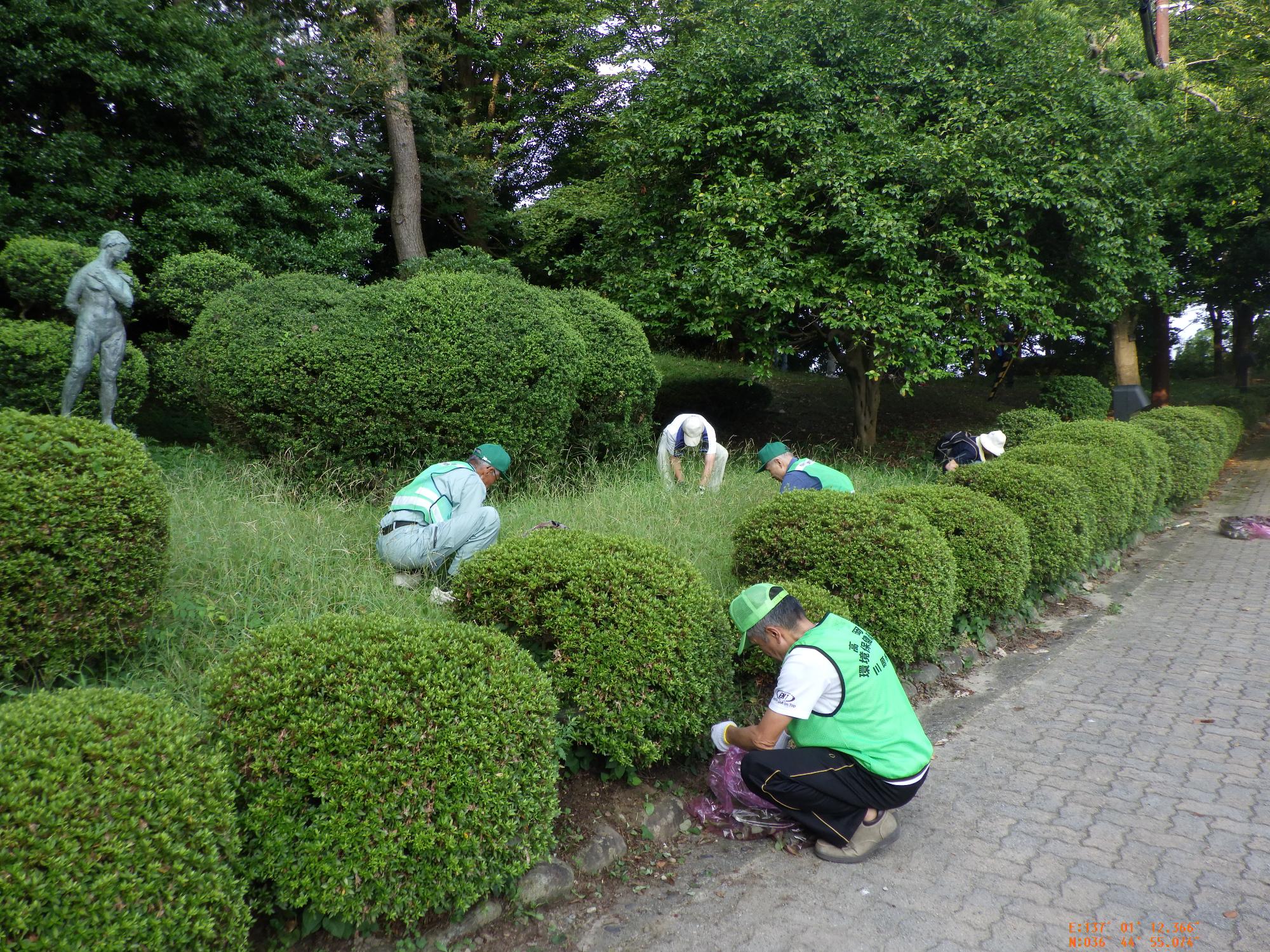 古城公園の木々の間を掃除している市民の写真