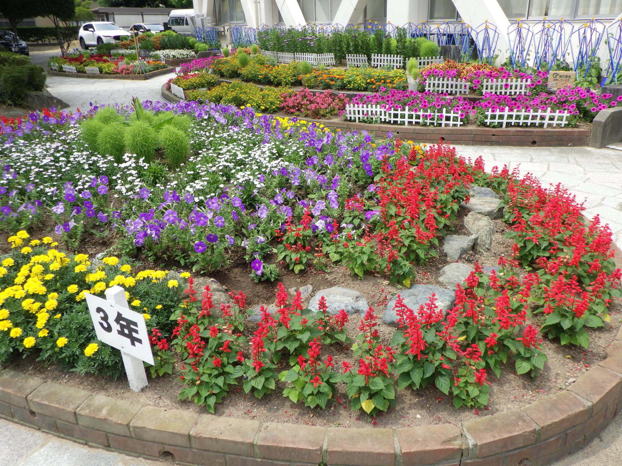 円形や扇形の花壇に色とりどりの花が咲いている高岡市立成美小学校花壇の写真