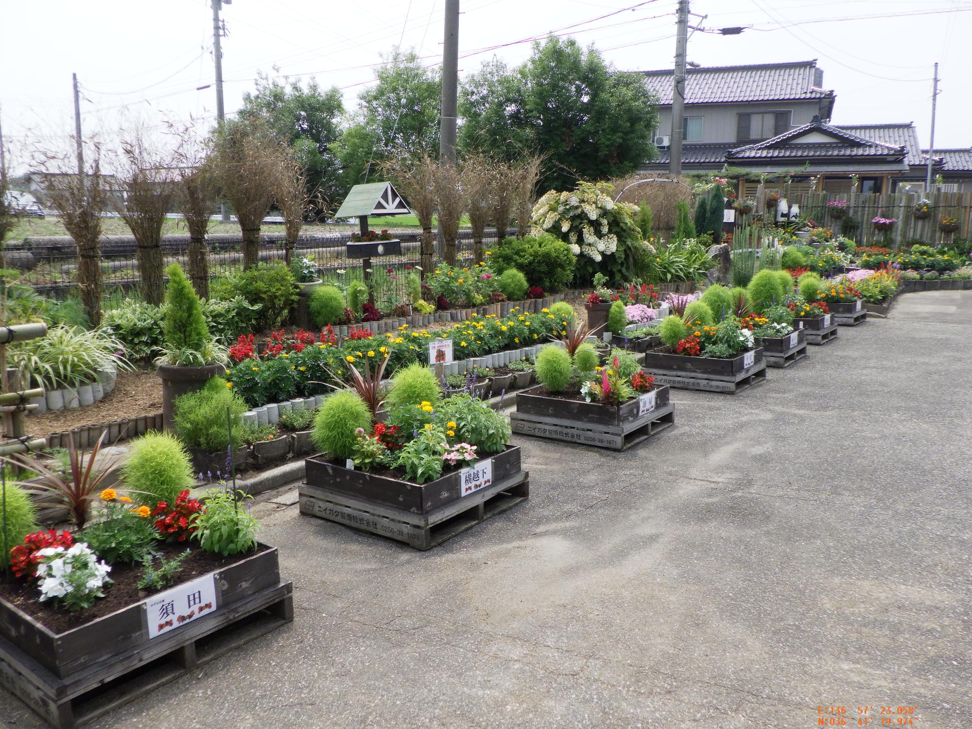花壇に色とりどりの花が咲いている醍醐公民館の花壇の写真