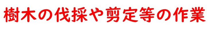 じゅもくのばっさいやせんていのさぎょう