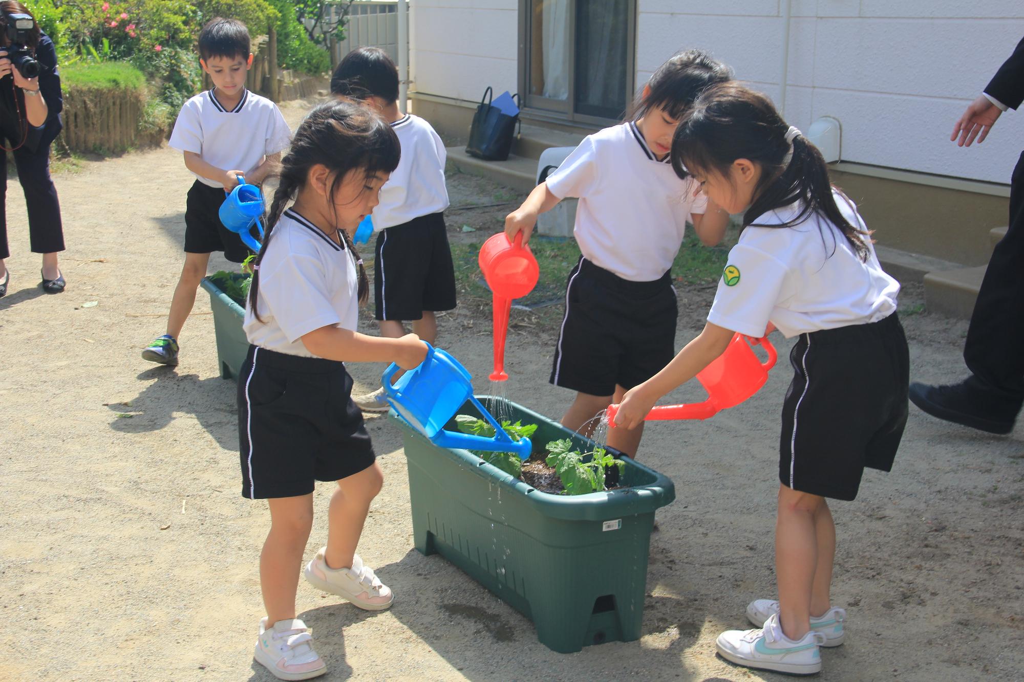 こどもの水やり写真