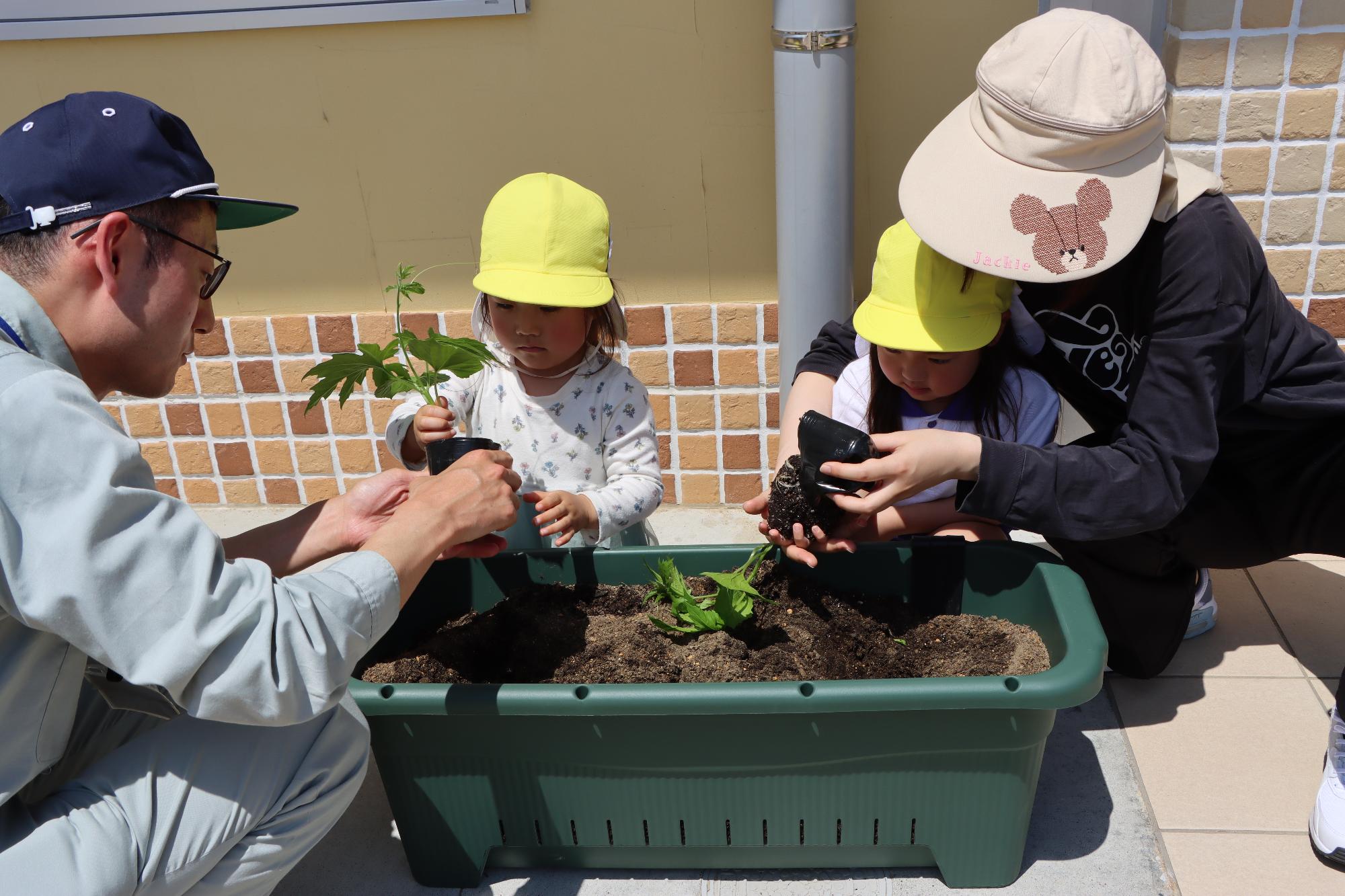 ゴーヤの苗植え式の様子