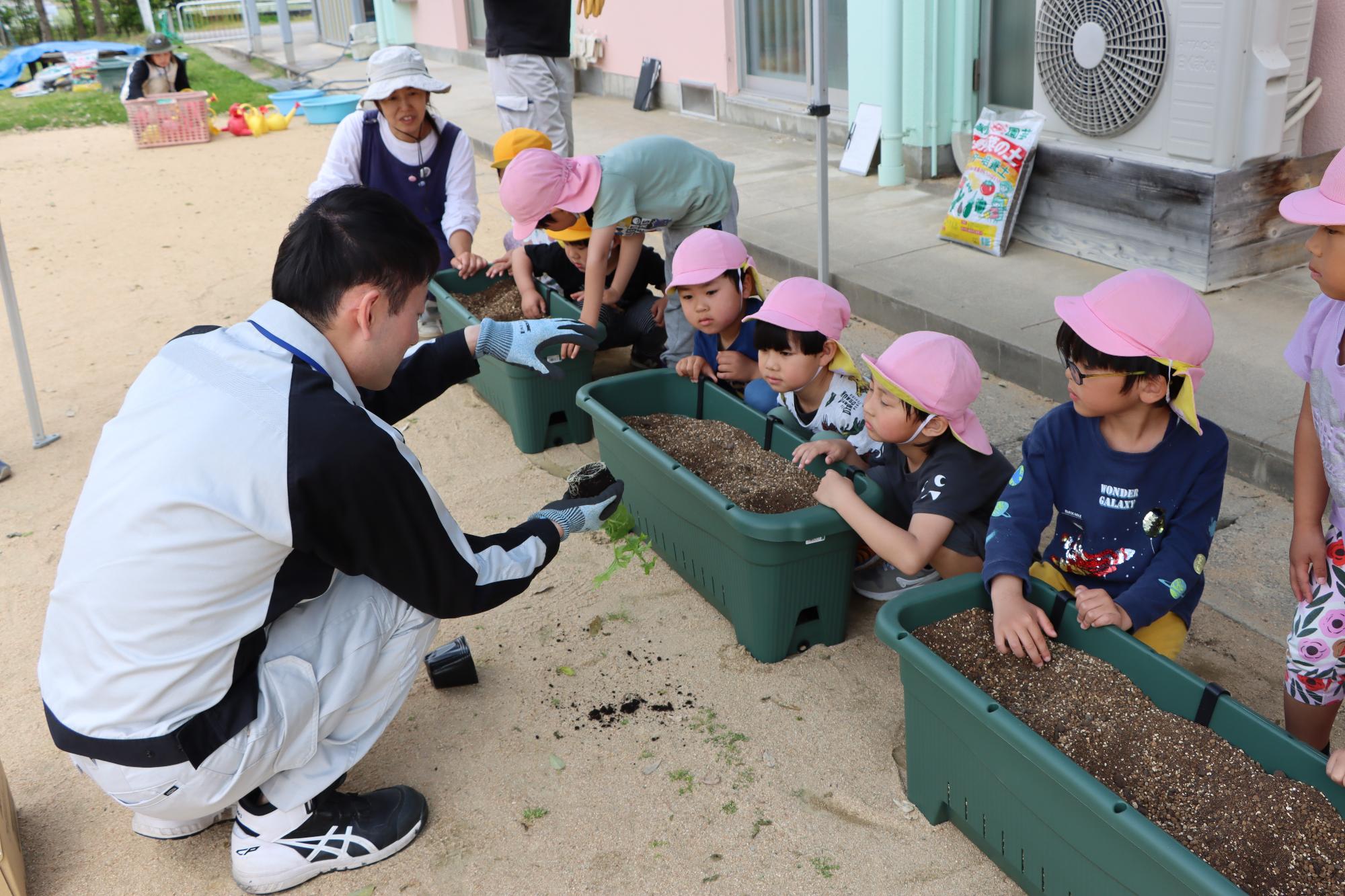 苗植えの説明を受ける園児たち
