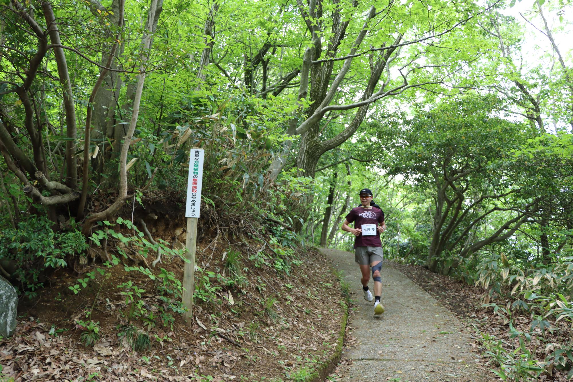 二上山のランコースを駆け抜けるランナーの様子