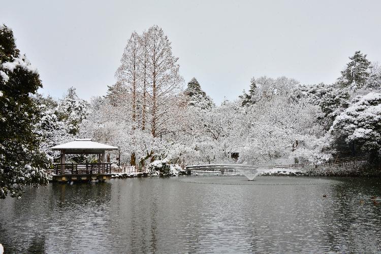 古城公園冬景色