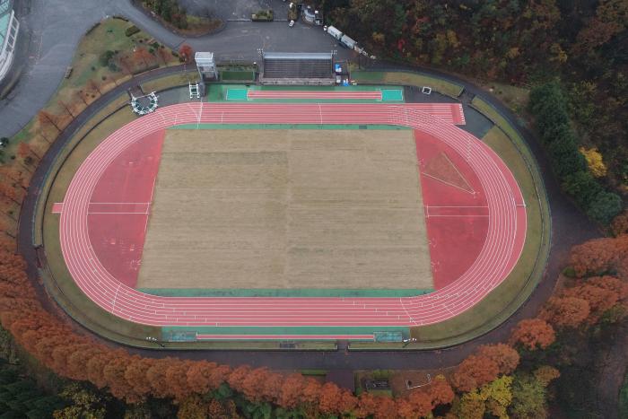 赤とピンクの地面と緑の芝生がある競技場を上空から撮った写真
